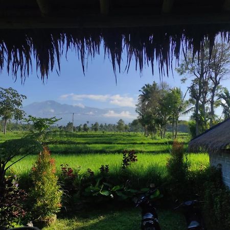New Rinjani Homestay Tetebatu Dış mekan fotoğraf