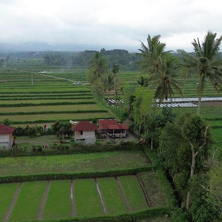 New Rinjani Homestay Tetebatu Dış mekan fotoğraf