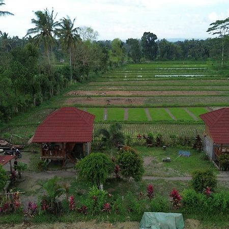 New Rinjani Homestay Tetebatu Dış mekan fotoğraf