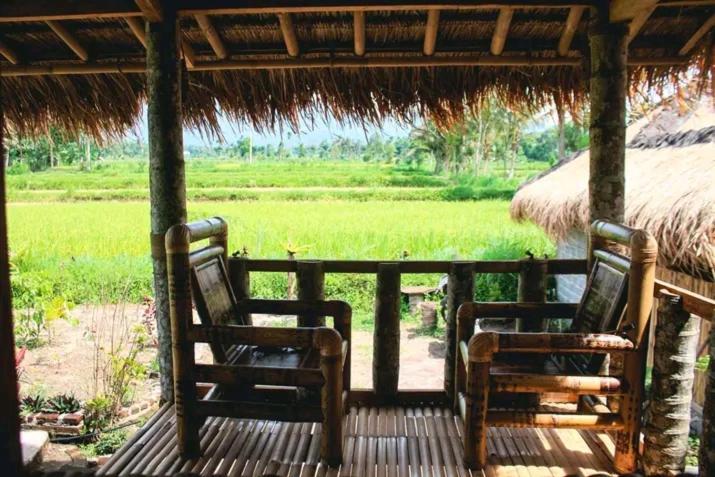 New Rinjani Homestay Tetebatu Dış mekan fotoğraf