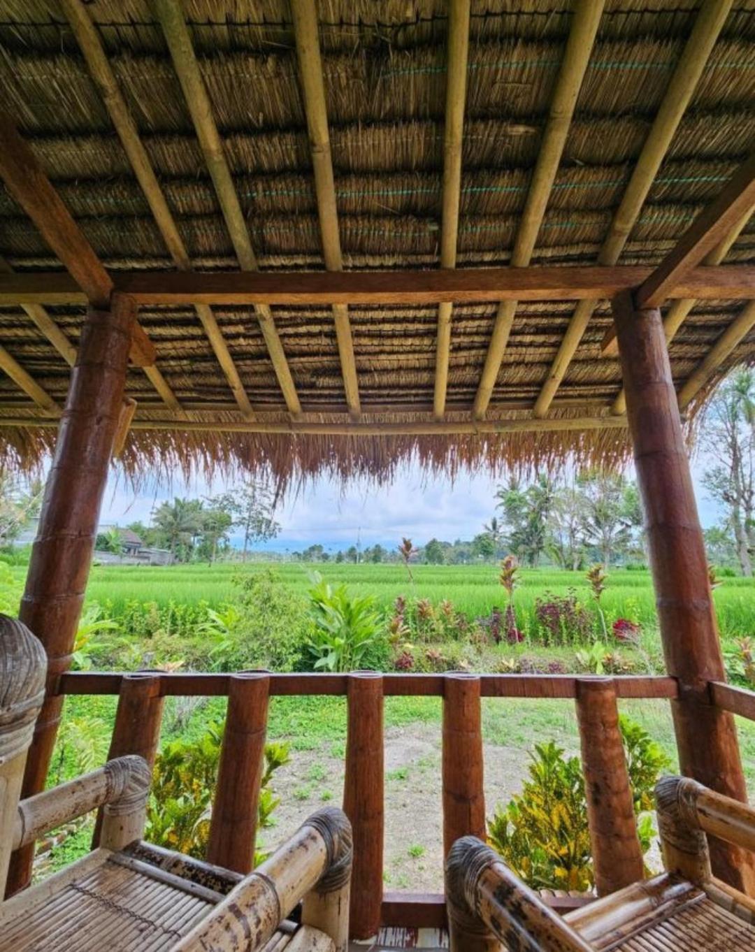 New Rinjani Homestay Tetebatu Dış mekan fotoğraf