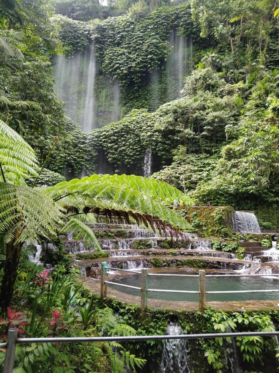 New Rinjani Homestay Tetebatu Dış mekan fotoğraf