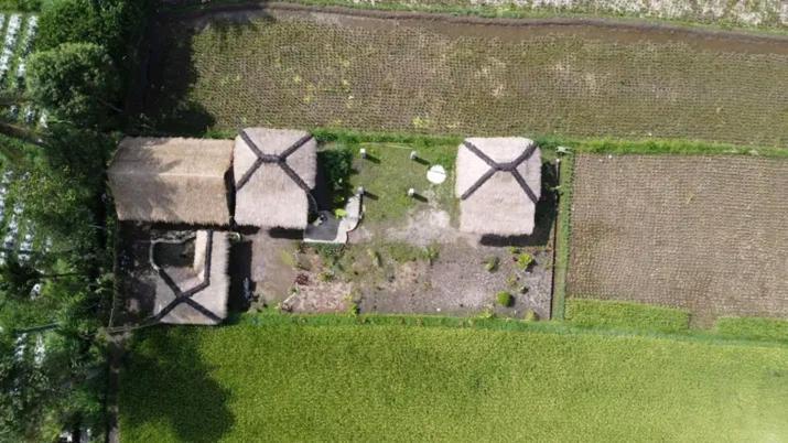 New Rinjani Homestay Tetebatu Dış mekan fotoğraf