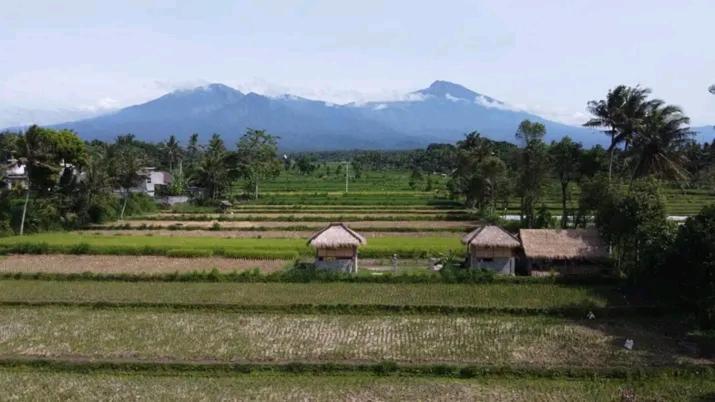 New Rinjani Homestay Tetebatu Dış mekan fotoğraf
