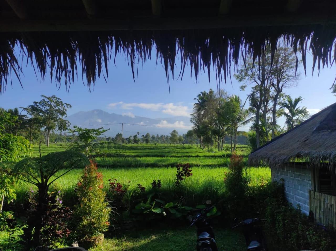 New Rinjani Homestay Tetebatu Dış mekan fotoğraf