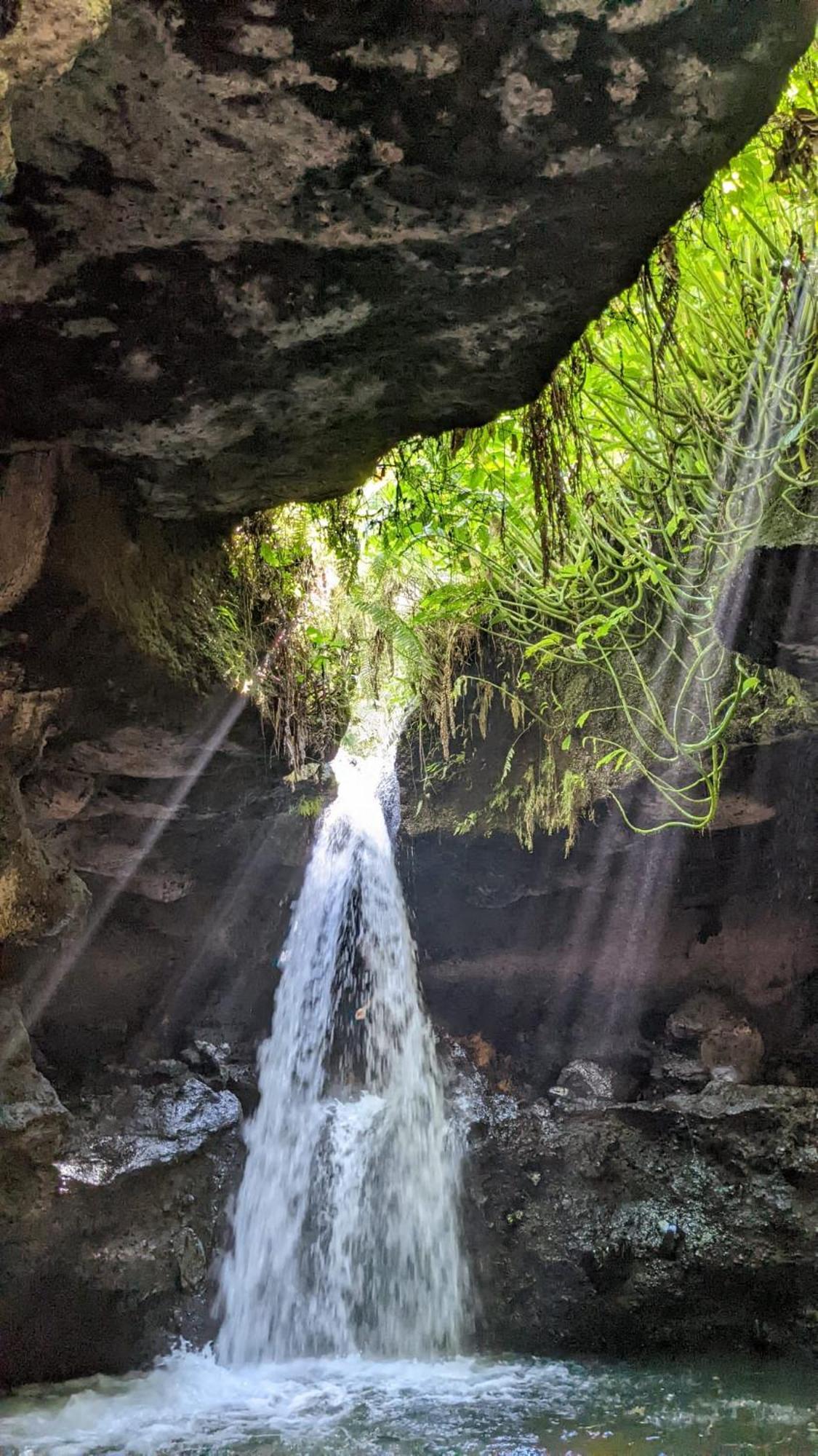 New Rinjani Homestay Tetebatu Dış mekan fotoğraf