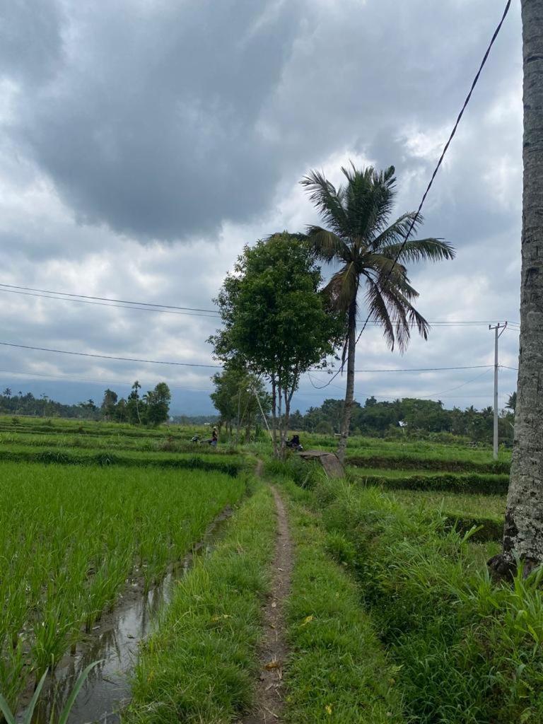 New Rinjani Homestay Tetebatu Oda fotoğraf