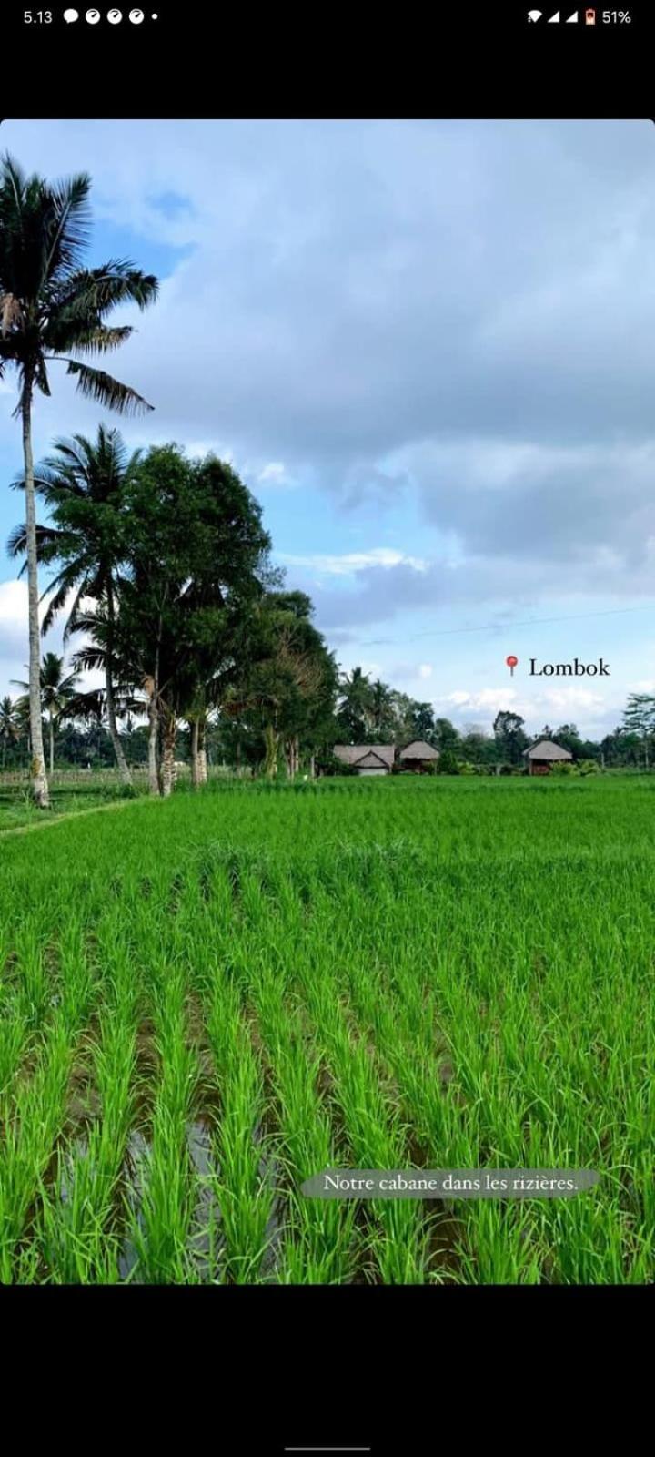 New Rinjani Homestay Tetebatu Oda fotoğraf