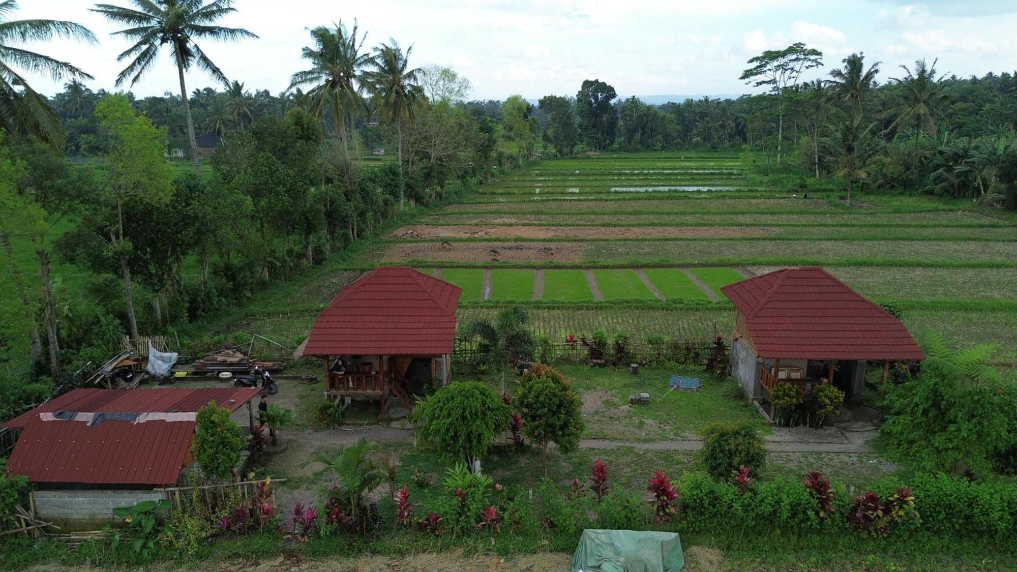 New Rinjani Homestay Tetebatu Dış mekan fotoğraf
