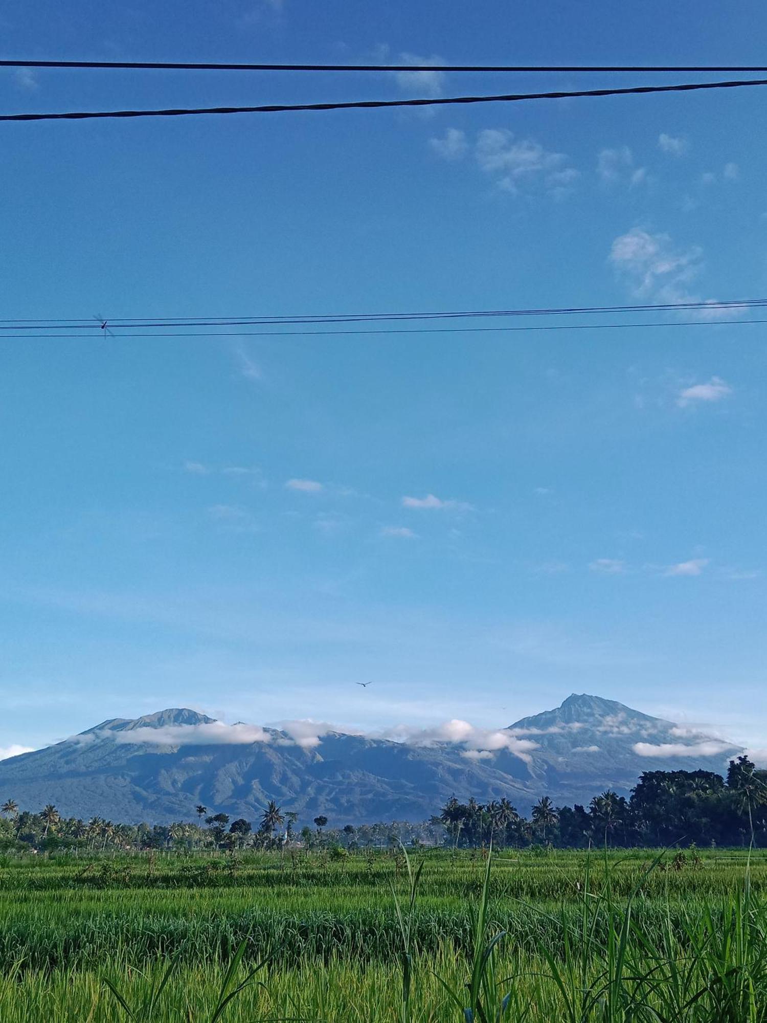 New Rinjani Homestay Tetebatu Dış mekan fotoğraf