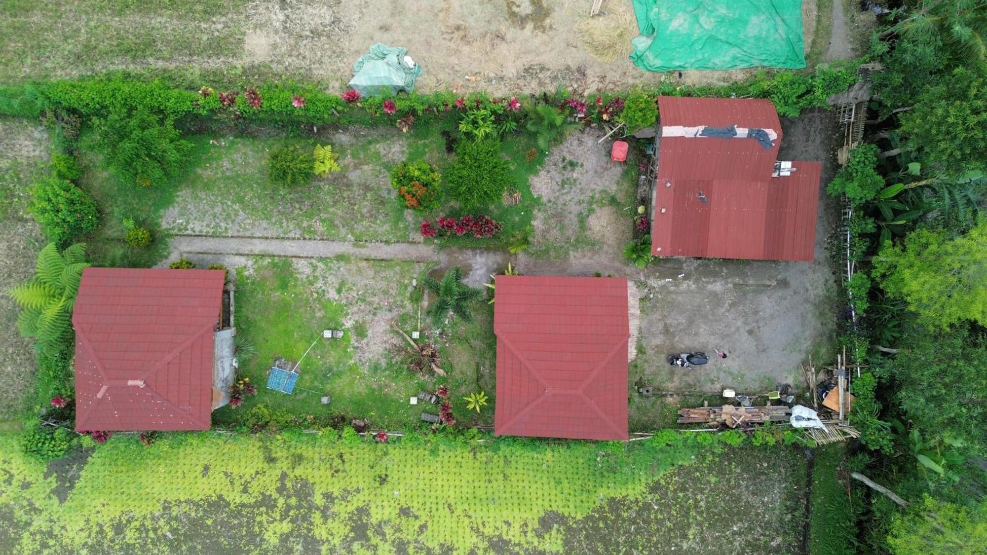 New Rinjani Homestay Tetebatu Dış mekan fotoğraf